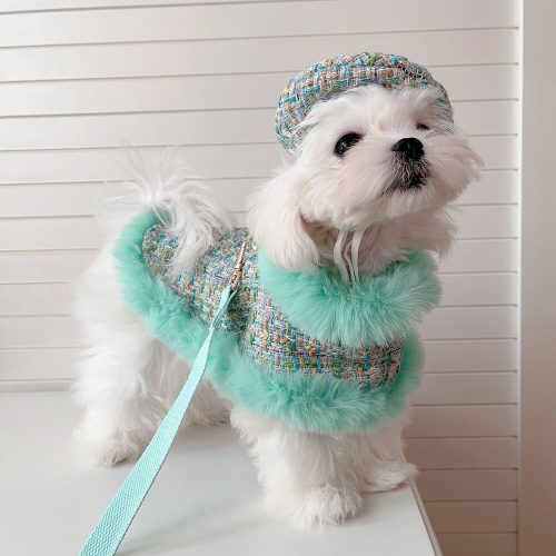 FunnyFuzzyPrincessStyleDogBeretCapeLeashAccessoriesSet 5