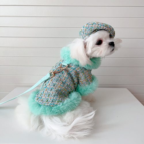 FunnyFuzzyPrincessStyleDogBeretCapeLeashAccessoriesSet 6