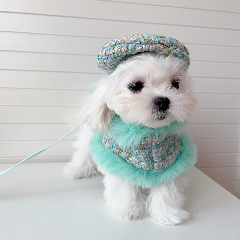 FunnyFuzzyPrincessStyleDogBeretCapeLeashAccessoriesSet 7