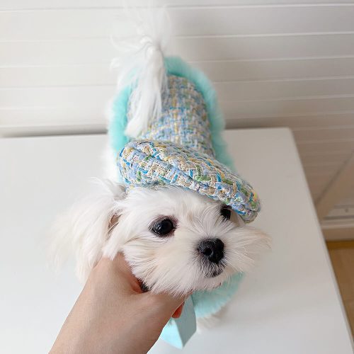 FunnyFuzzyPrincessStyleDogBeretCapeLeashAccessoriesSet 8