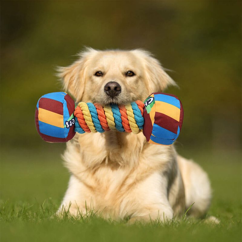 FunnyFuzzyRainbowDumbbellSqueakyDogToyBite ResistantTeethCleaningChewToy 1 42e123ca 02e5 4d37 ac16 4260eaec3d21