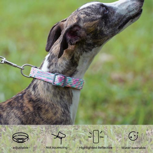 FunnyFuzzyReflectiveWeaveAdjustableNoPullDogCollar 18 a0db54e5 befd 45b1 a607 5a2dee16ab05