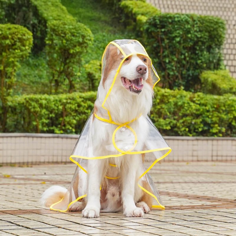 FunnyFuzzyTransparentEVAWaterproofOutdoorDogHoodedRaincoat 1