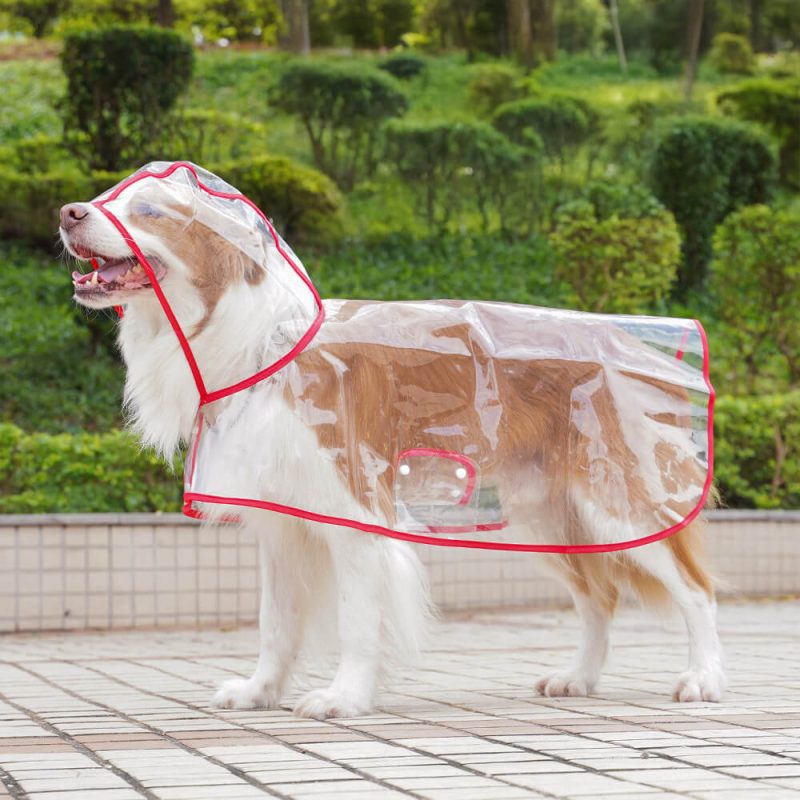 FunnyFuzzyTransparentEVAWaterproofOutdoorDogHoodedRaincoat 9