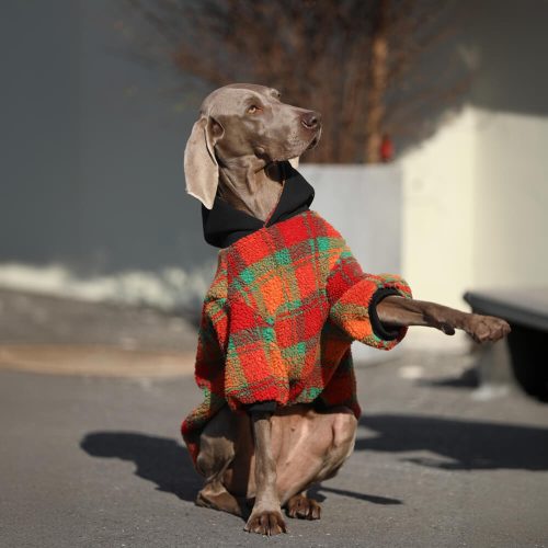 FunnyFuzzyVintageLeisureSquareStripedWarmDogHoodiesClothes 4