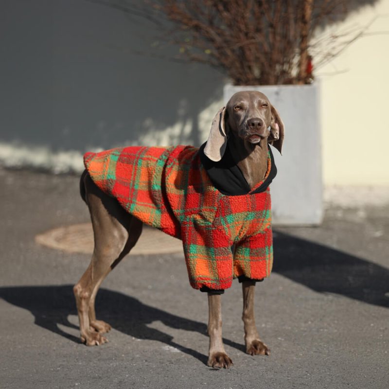 FunnyFuzzyVintageLeisureSquareStripedWarmDogHoodiesClothes 5