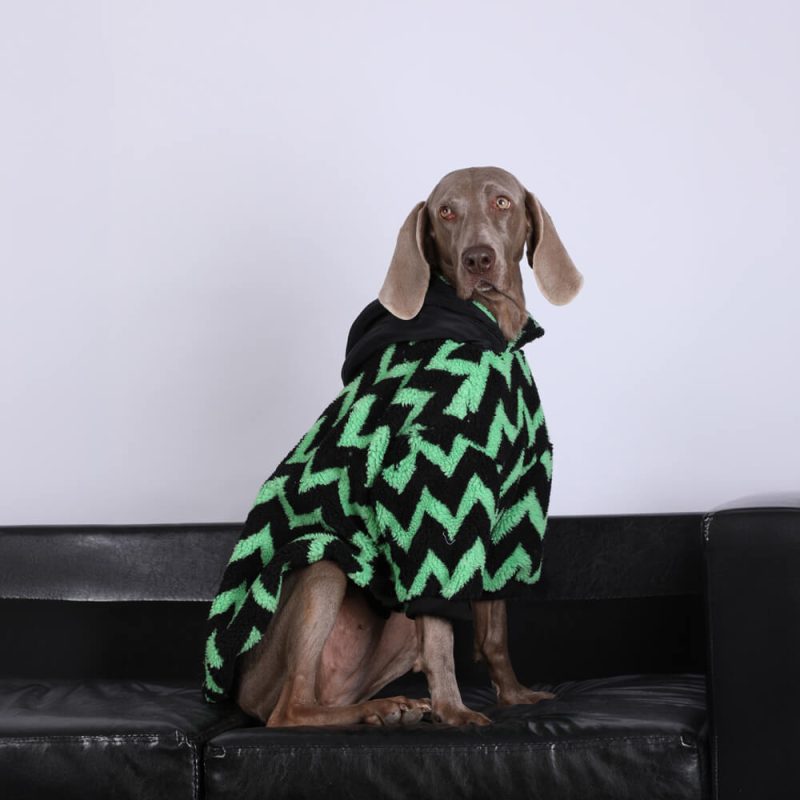 FunnyFuzzyVintageLeisureSquareStripedWarmDogHoodiesClothes 6