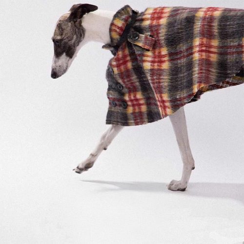 FunnyFuzzyVintagePlaidWoolWithRefinedLeatherCollar ButtonDogCape 10