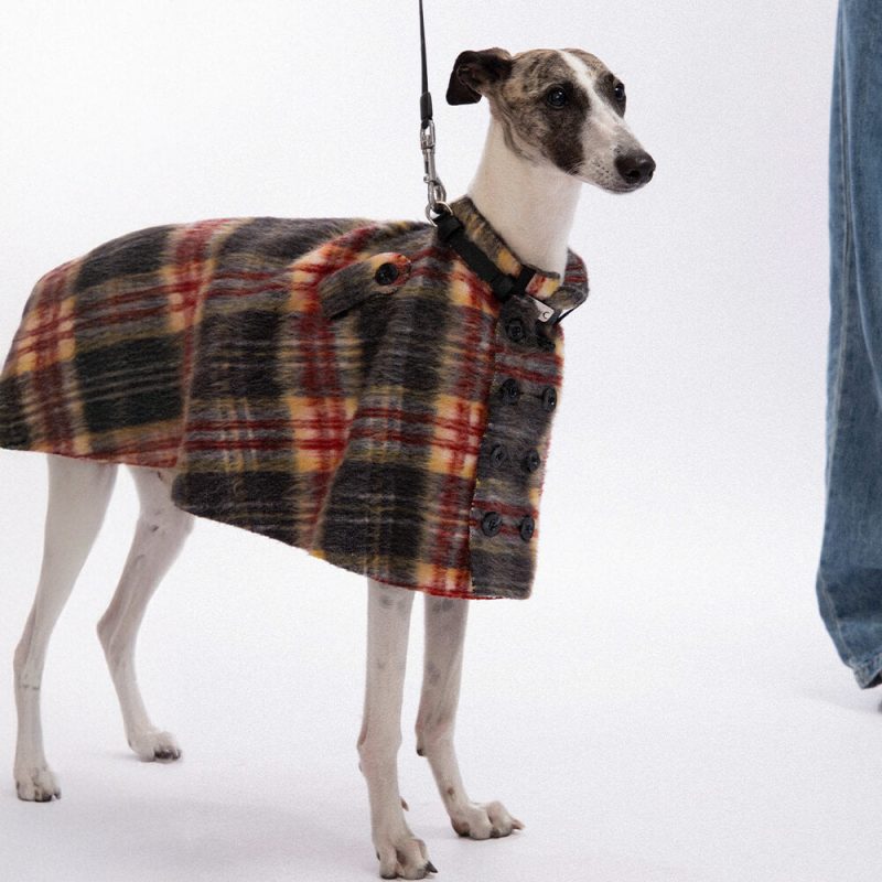 FunnyFuzzyVintagePlaidWoolWithRefinedLeatherCollar ButtonDogCape 4