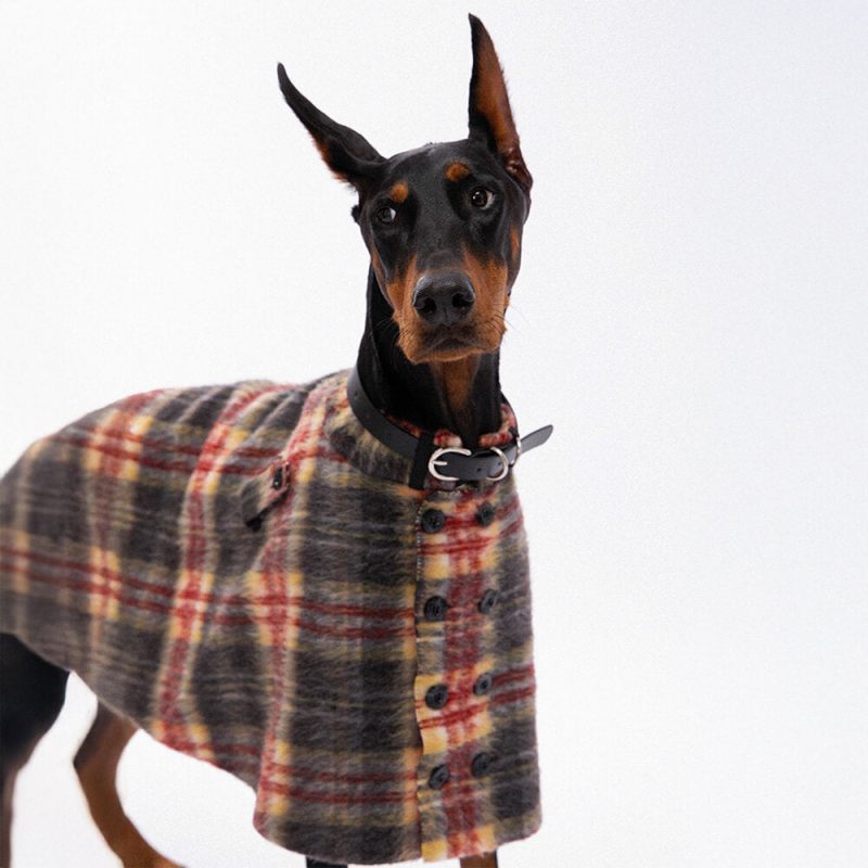 FunnyFuzzyVintagePlaidWoolWithRefinedLeatherCollar ButtonDogCape 7