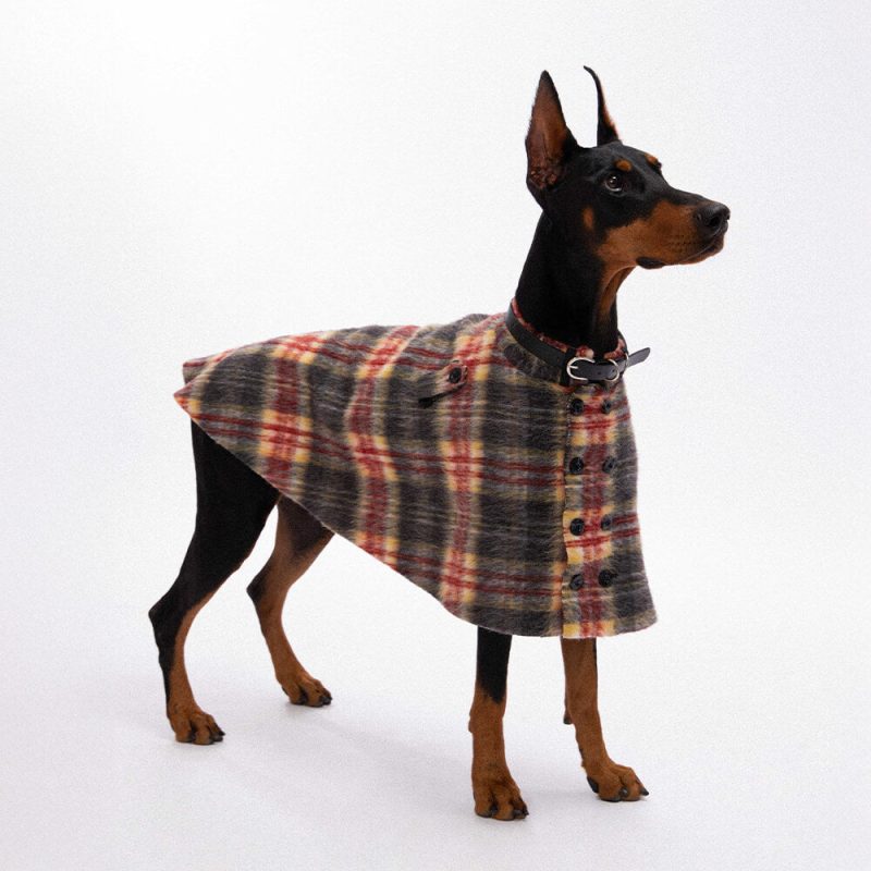 FunnyFuzzyVintagePlaidWoolWithRefinedLeatherCollar ButtonDogCape 8