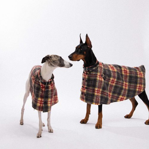 FunnyFuzzyVintagePlaidWoolWithRefinedLeatherCollar ButtonDogCape 9