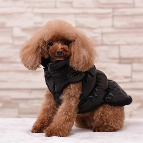 FunnyFuzzyWarmThickWindproofWaterproofEco FriendlyDogVest 14