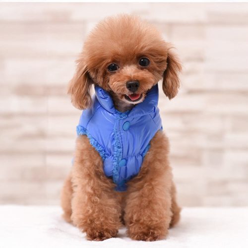 FunnyFuzzyWarmThickWindproofWaterproofEco FriendlyDogVest 2