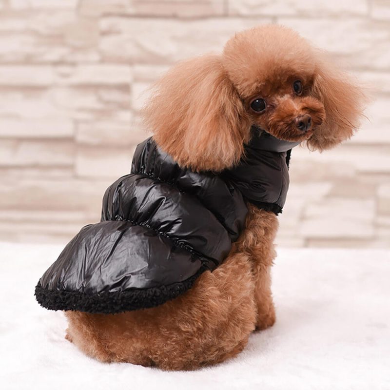 FunnyFuzzyWarmThickWindproofWaterproofEco FriendlyDogVest 4