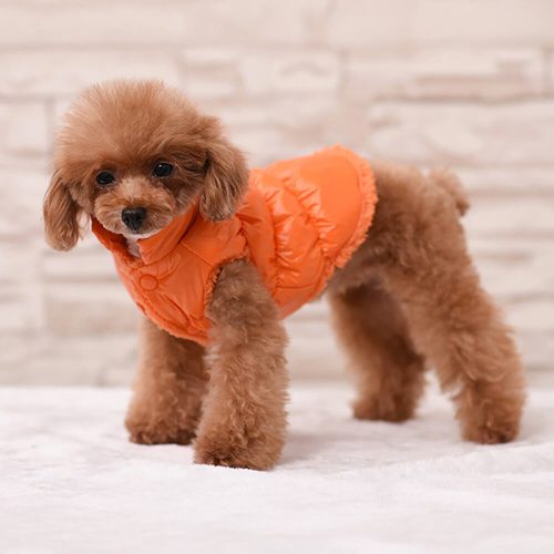 FunnyFuzzyWarmThickWindproofWaterproofEco FriendlyDogVest 9