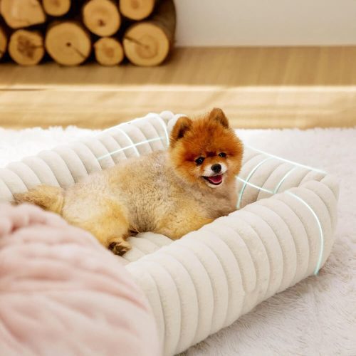 FunnyFuzzyWarmthCozyFour SidedOrthopedicSupportBolsteredDog CatBed 1