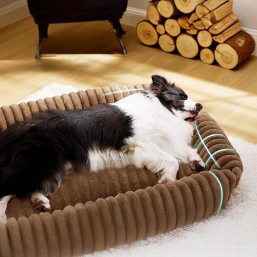 FunnyFuzzyWarmthCozyFour SidedOrthopedicSupportBolsteredDog CatBed 2