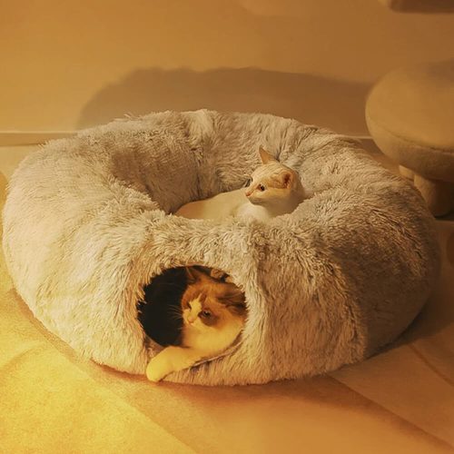 FunnyFuzzy 2in1FoldableIndoorSoftRoundCatTunnelBed9