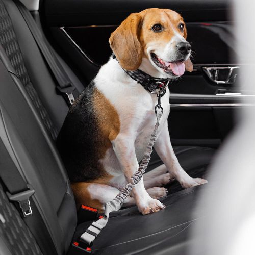 FunnyFuzzy BufferAdjustableDogCarSeatBelt1