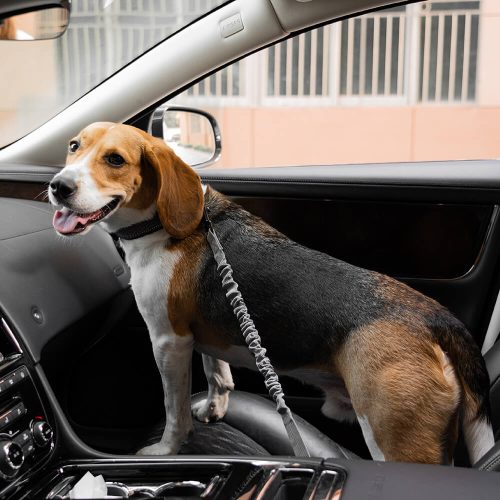 FunnyFuzzy BufferAdjustableDogCarSeatBelt2