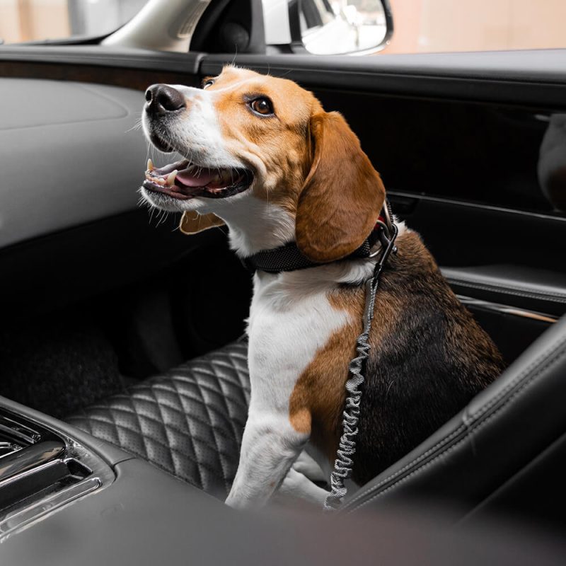 FunnyFuzzy BufferAdjustableDogCarSeatBelt6