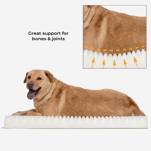 FunnyFuzzy DeluxeFluffyFullSupportAnxietyRelievingLargeDogBed5