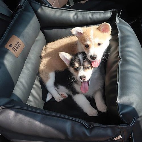 FunnyFuzzy DogCarSeatBedFortB6