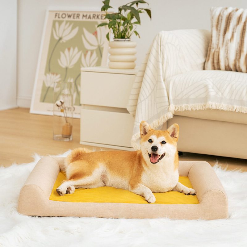 FunnyFuzzy FullSupportComfortableOrthopedicDogBed4