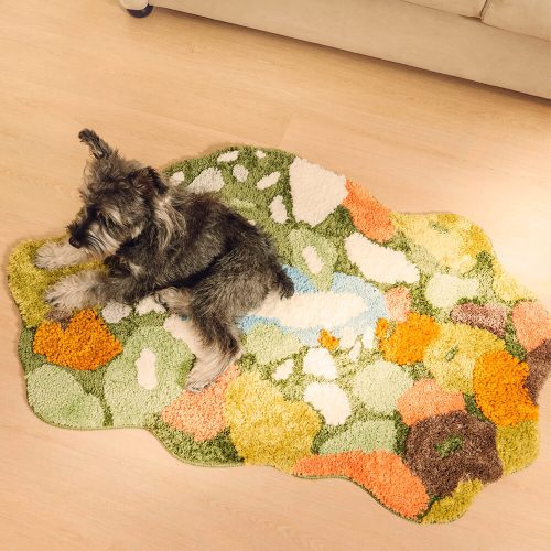 FunnyFuzzy IrregularNaturalPlushCarpetPetMatPetRug8