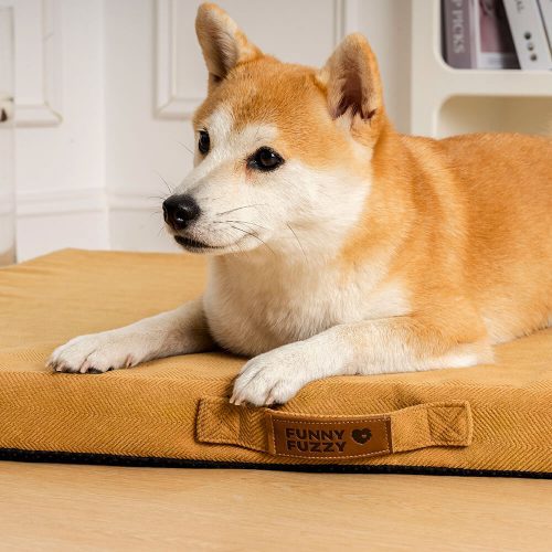 FunnyFuzzy LargeSpacePortableOrthopedicMemoryBedDogBed2