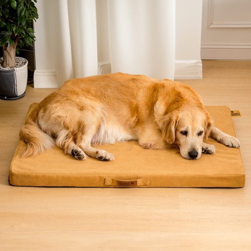 FunnyFuzzy LargeSpacePortableOrthopedicMemoryBedDogBed3