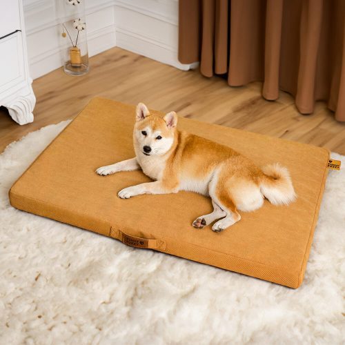 FunnyFuzzy LargeSpacePortableOrthopedicMemoryBedDogBed4