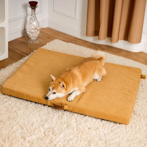 FunnyFuzzy LargeSpacePortableOrthopedicMemoryBedDogBed5