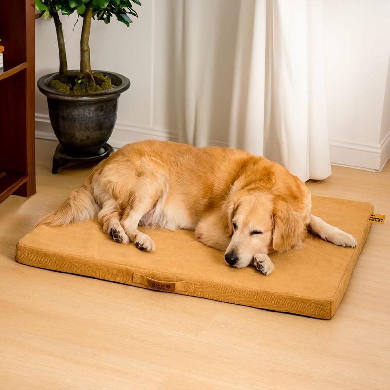 FunnyFuzzy LargeSpacePortableOrthopedicMemoryBedDogBed9