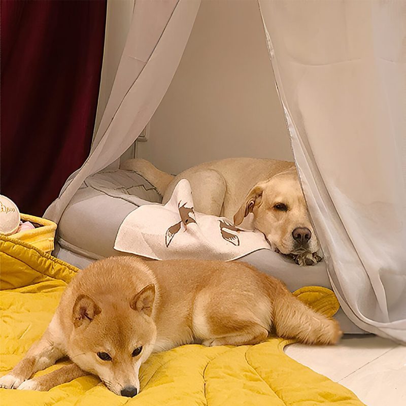 FunnyFuzzy LeafShapeDogBlanketWithDonutDogBed11