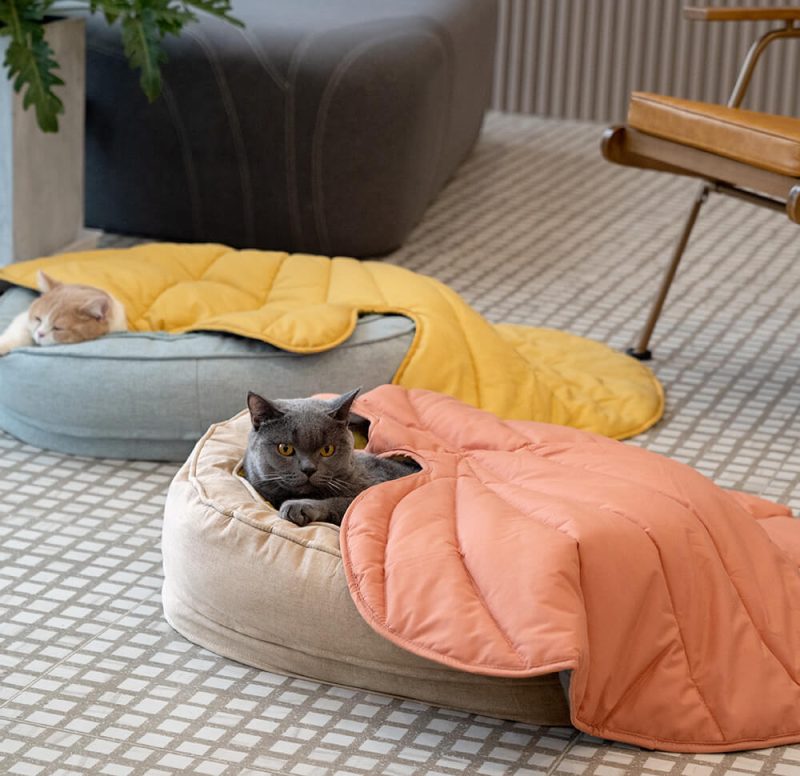 FunnyFuzzy LeafShapeDogBlanketWithDonutDogBed12