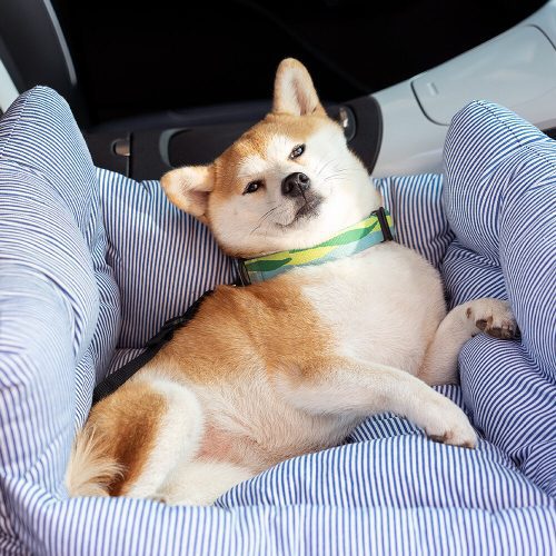 FunnyFuzzy PortableLesuireOutingPetBoosterDogCarSeatBed7