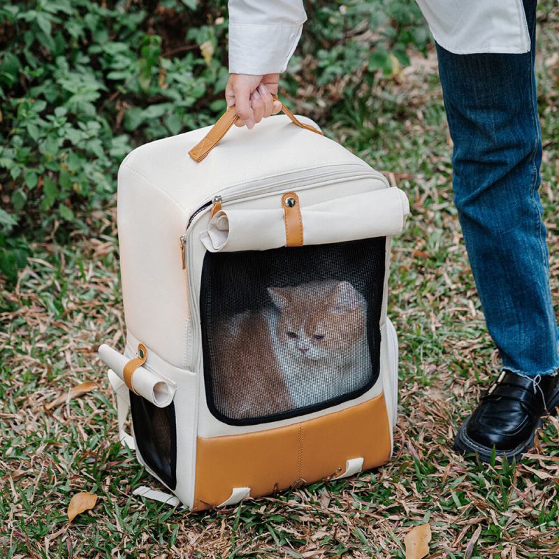 FunnyFuzzy SquareBreathableFoldablePortablePetCarrierCatBackpack1