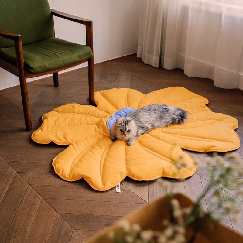 FunnyFuzzy SuperLargeFlowerShapeHumanMatDogBlanket13