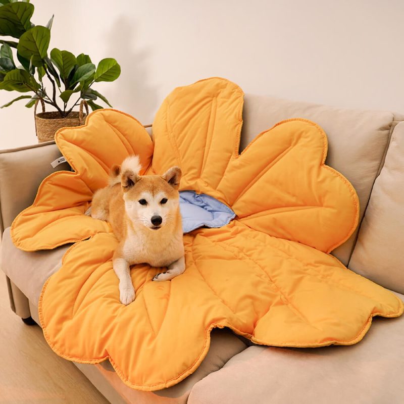 FunnyFuzzy SuperLargeFlowerShapeHumanMatDogBlanketB1