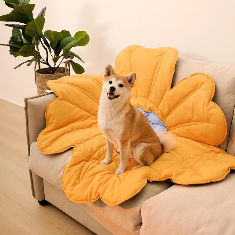 FunnyFuzzy SuperLargeFlowerShapeHumanMatDogBlanketB2