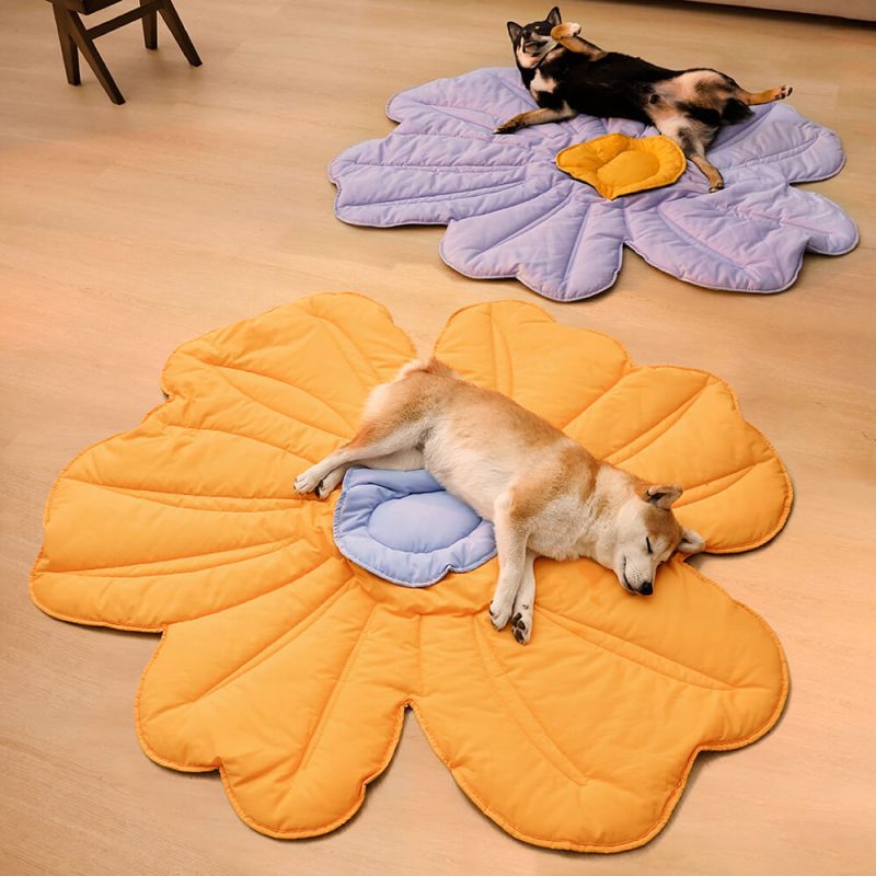 FunnyFuzzy SuperLargeFlowerShapeHumanMatDogBlanketB2 5fa97ce0 33f0 4241 9606 b955ec8c2731