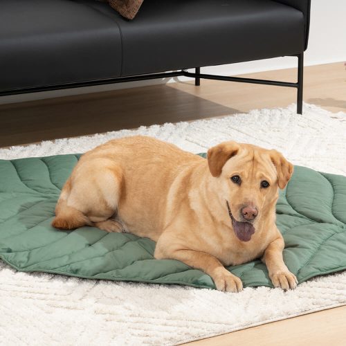 FunnyFuzzy SuperLargeHighQualityLeafShapeHumanMatDogBlanket1