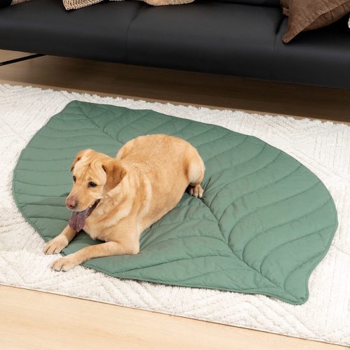 FunnyFuzzy SuperLargeHighQualityLeafShapeHumanMatDogBlanket102