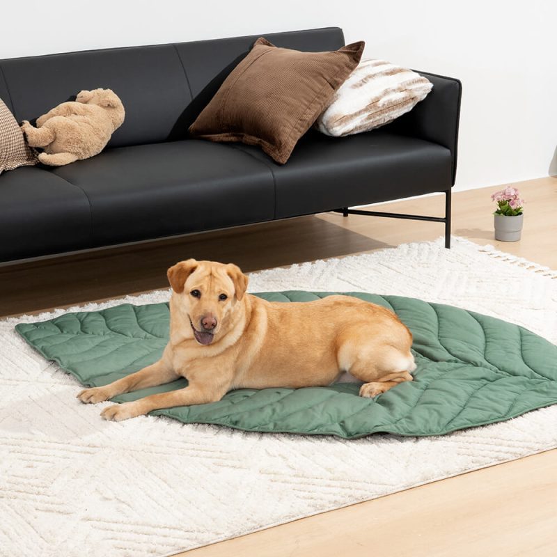 FunnyFuzzy SuperLargeHighQualityLeafShapeHumanMatDogBlanket7