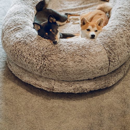 FunnyFuzzy SuperLargeLuxurySleepDeeperHumanDogBed2