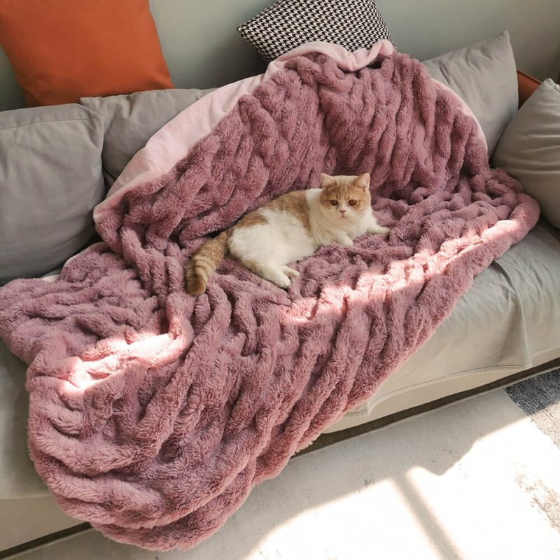 FunnyFuzzy SuperSoftFauxFurVelvetPetThrowBlanket10 8c1fe9f2 c541 4240 a550 05a2d0e15129