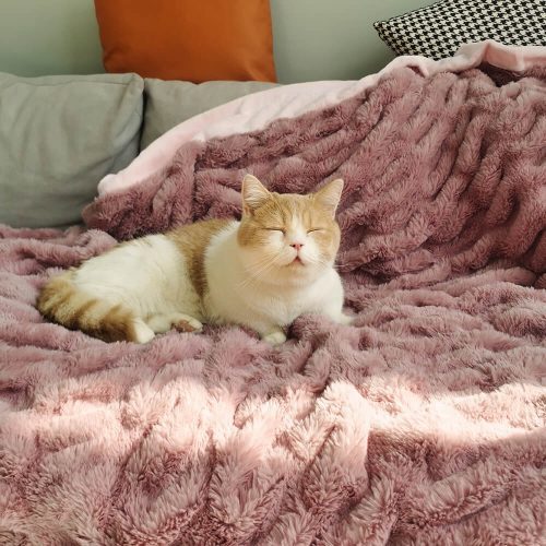 FunnyFuzzy SuperSoftFauxFurVelvetPetThrowBlanket9