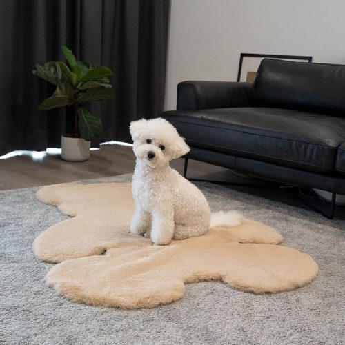 FunnyFuzzy TeddyBearShapedFluffyPetMat2